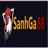 sanhga88store