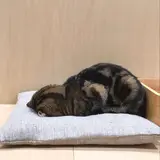 みちゃん