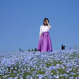 もみじ