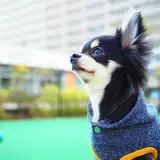 ひろ