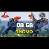 Nhà cái ĐÁ GÀ THOMO
