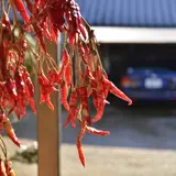 てんてん