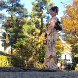 Shima