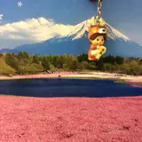 ぷるるん