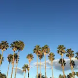 li_traveler