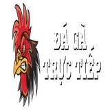 Đá Gà Trực Tiếp