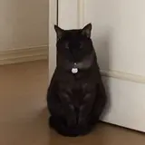 鯛子