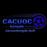 Cá Cược Bóng Đá