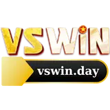 Vswin day