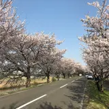 yukimi.