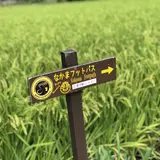 ちー