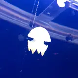しいな