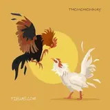 thomohomnaypihua