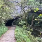 雄橋