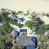 The Brando