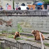 ベーレングラーベン