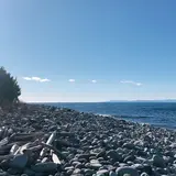 大瀬崎
