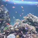 サンシャイン水族館