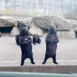 クマ牧場前