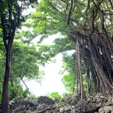 大石林山