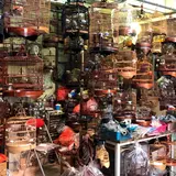 Yuen Po Street Bird Garden