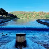 大瀬観光やな