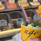 Ugo Santa Monica