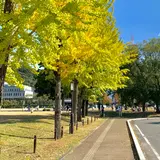 三之丸跡 堀之内公園