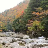 芦生ロードパーク・唐戸渓谷