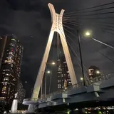 中央大橋