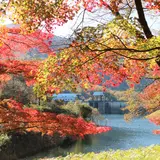大野ダム