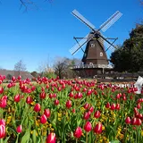船橋アンデルセン公園