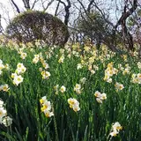 京王百草園