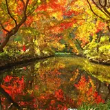 京王百草園