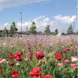 花と緑の広場