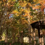 都立林試の森公園