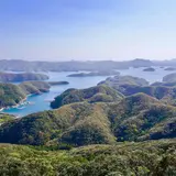 対馬市