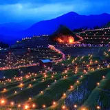丸山千枚田 大石
