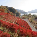 宮ケ瀬湖
