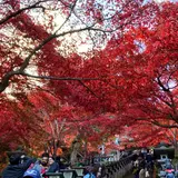 大山寺