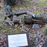 ツインリンク もてぎ