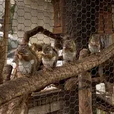 湯布院フローラルヴィレッジ