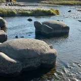鴨川デルタの飛び石