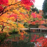 洞光寺