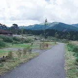 九重グリーンパーク泉水キャンプ村