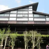 Hohocha喝喝茶丨台湾香日月潭紅茶廠