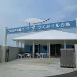つくみイルカ島