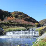 早川