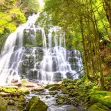 Nelson Falls