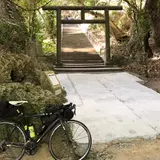 シルミチュー